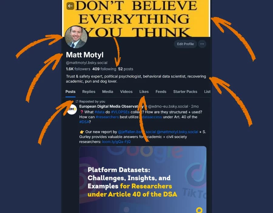 Example Bluesky Social profile showing user-provided data